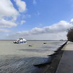 Les Cigognes De La Reserve Grand-Laviers