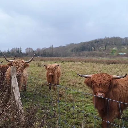 Holiday home Les Cigognes De La Reserve